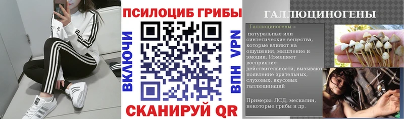 Псилоцибиновые грибы прущие грибы  Купить где  Теберда 
